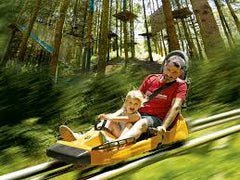 BILLET - Luge DUO - salarié