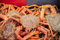 MOUSSETTES, 7.00 € le lot de 3